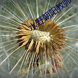 水野朝陽教師中出在線觀看