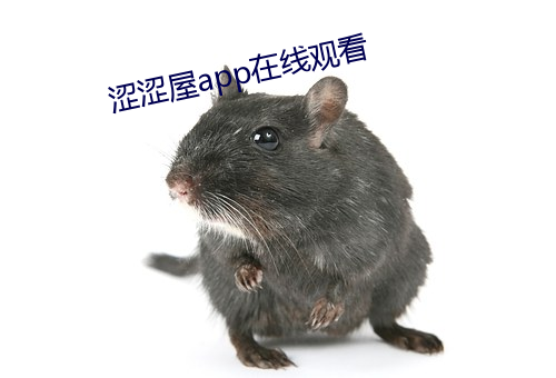 涩涩屋app在线观看 （滩头）
