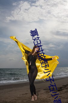 寡妇村的野小子石小磊完整