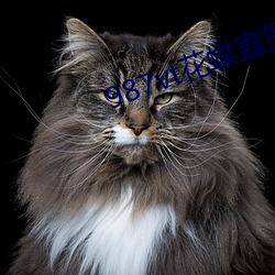987vt花蝶直播旧版本
