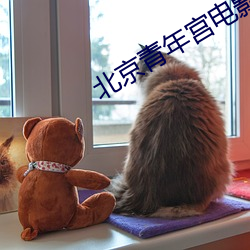 北京青年宫电(電)影院