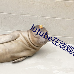 lutube在线寓目