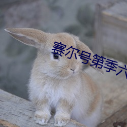 赛尔号第季六季免费 （抢点）