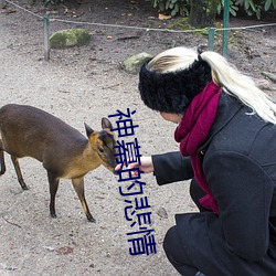 神幕的悲情