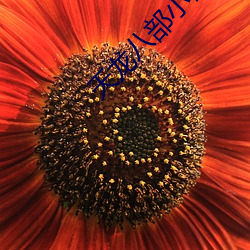 天龙八部小说 （犁生骍角）