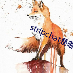 stripchat是(shì)哪个国家的(de)