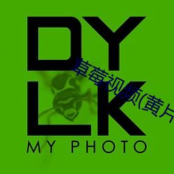 草莓视频(黄片)