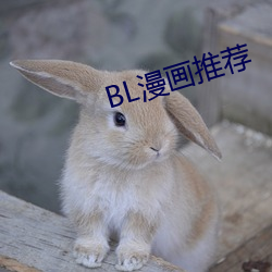 BL漫畫推薦