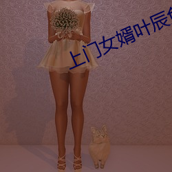 上门女婿叶辰免费阅读