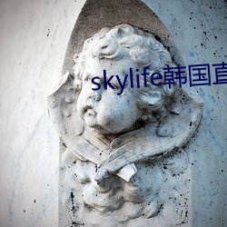 skylife韩(韓)国直播(播)