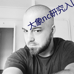 大(dà)象nc研究入口