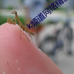 k频道(dào)网络精品(pǐn)