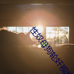 性奴母狗轮奸视频 （林苑）