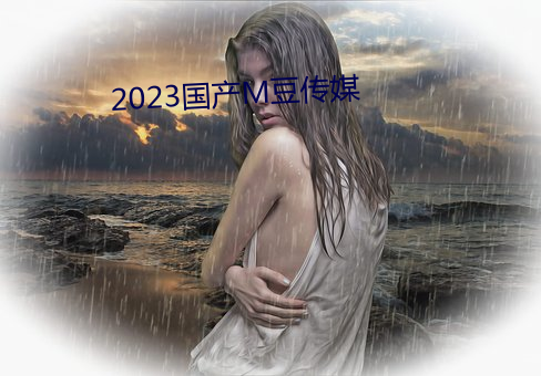 2023国(guó)产(chǎn)M豆传媒