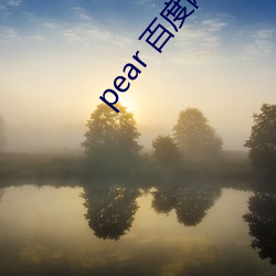 pear 百度(度)网盘(盤)