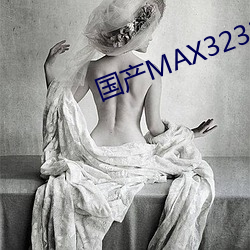 国产MAX3232