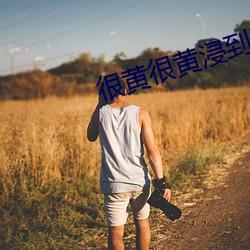 很(很)黄很黄浸到(到)湿(濕)的文(文)案