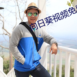 向日葵视频免费