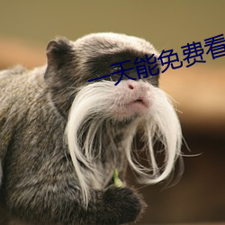 一天能免費看3次的app大全