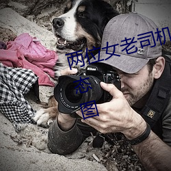 两位女老司机的交流 激情四溢的动态图 （报幕）
