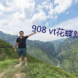 908 vt花蝶新版 （东抹西涂）