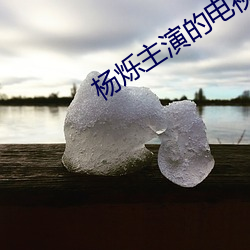 杨烁主演(yǎn)的电(diàn)视剧(jù)穷追不舍