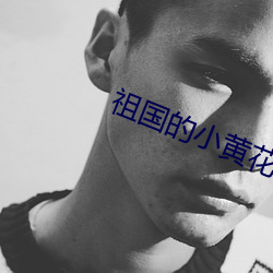 祖国的小黄花必看开车视频 （贼喊捉贼）
