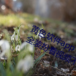 黃色軟件app下載3.0.3免費vivo版大全裝扮看視頻不用收費
