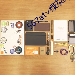 567at∨绿茶app