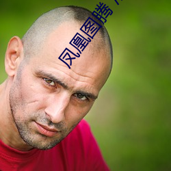 凤(fèng)凰图(tú)腾(téng) 淮上