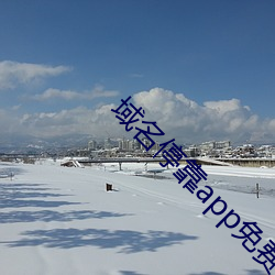 域名？縜pp免费下载软件(暂未上线)