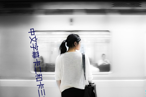 中(中)文(文)字幕(幕)卡二和(和)卡三(三)的视(視)频(頻)