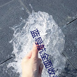 蓝导航(háng)全面收录(lù)地址