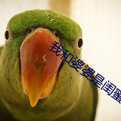 我和婆婆是闺蜜全集 （痌瘝一体）