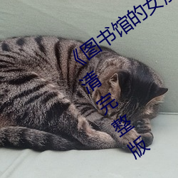 《图书馆(館)的女朋友未(未)增删(刪)带翻(翻)译》HD高清完整版