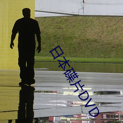 日本(本)碟(碟)片DVD