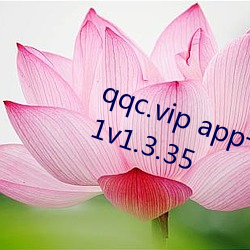 qqc.vip app十年沉淀只做精品2021v1.3.35