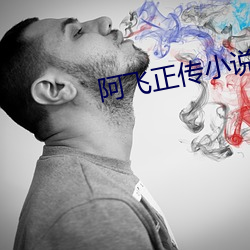 阿飞正传小说