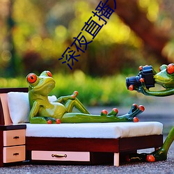 深夜直播大尺寸 （导源）