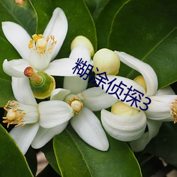 糊涂侦探3