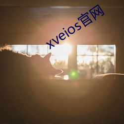 xveios官网 （确乎不拔）