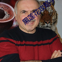 黑莲花攻略手册小说