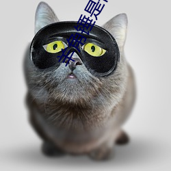 羊(yáng)角锤(chuí)是什么