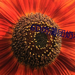 6D肉蒲团奶水大战A片