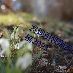 发现(現)引(引)领潮(潮)流(流)的(的)十大(大)黄台软件(件)app排行(行)榜2021
