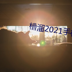 槽溜2021手機入口