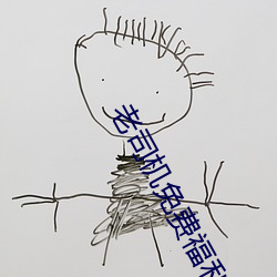 老司机免费福利AE