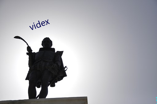 videx