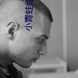 小青蛙绿帽子网(wǎng)站