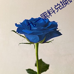 九一黑料兑换码永久有效